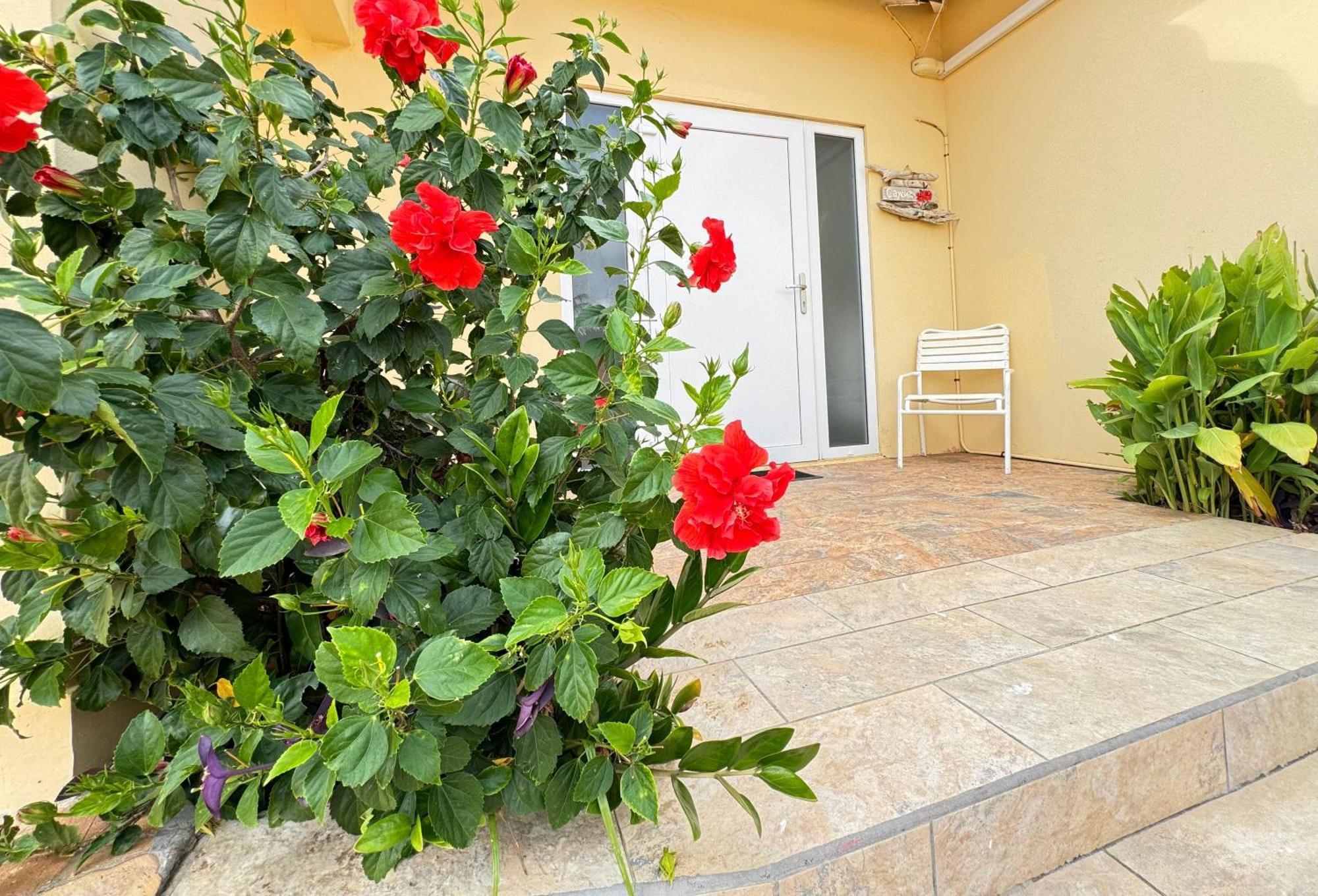 Casalina Garden 2 Blocks To Palm Beach & Kitesurfing School Buitenkant foto