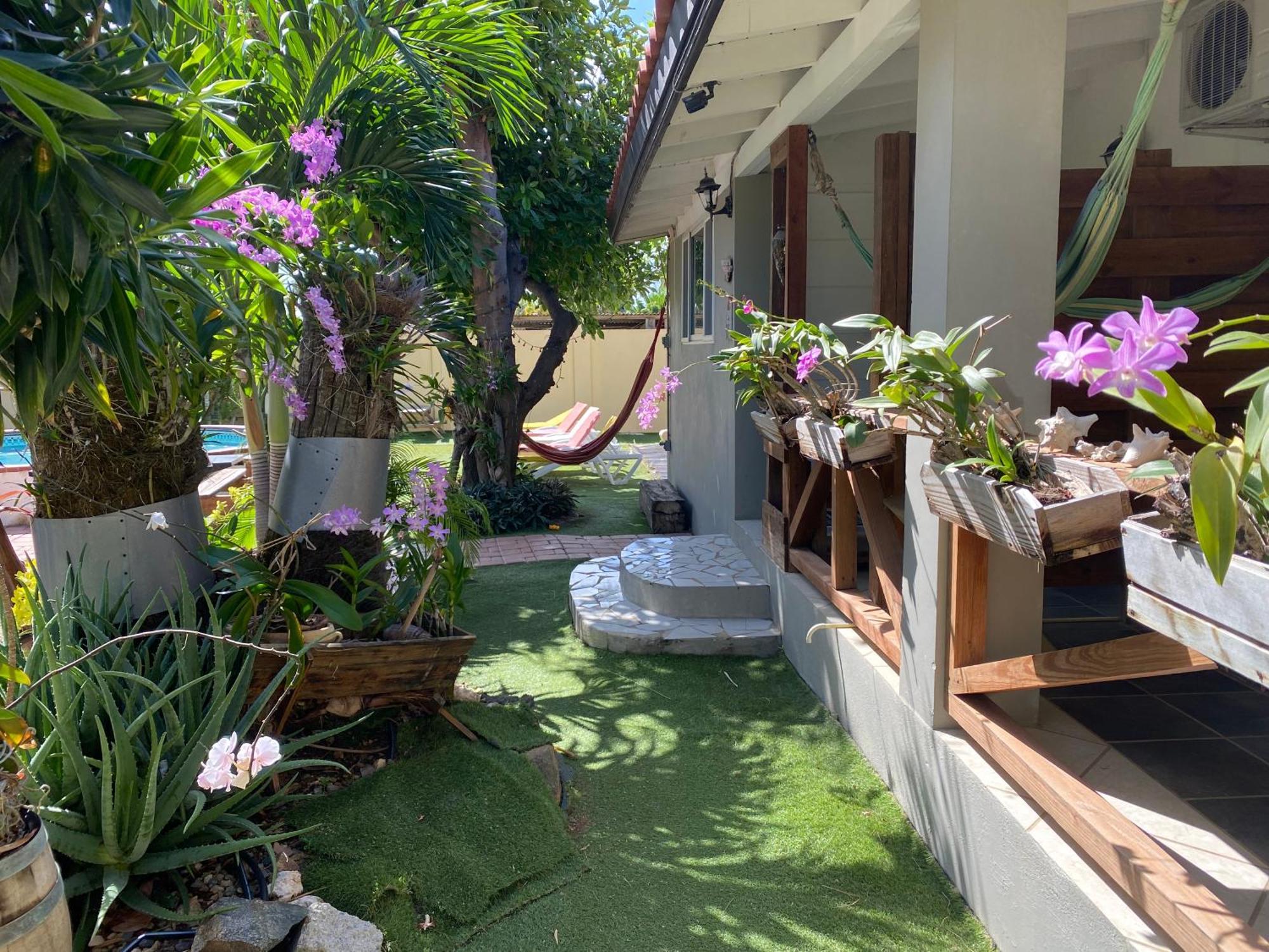 Casalina Garden 2 Blocks To Palm Beach & Kitesurfing School Buitenkant foto