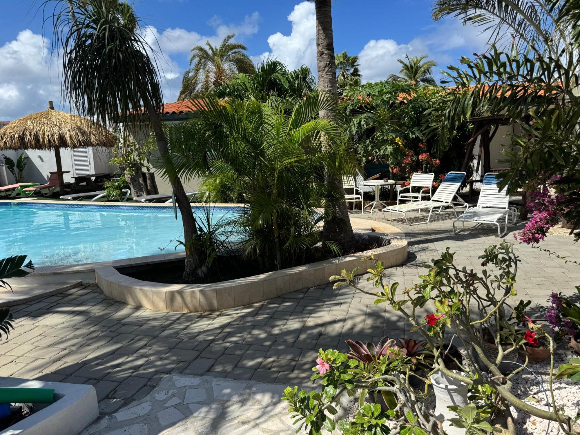 Casalina Garden 2 Blocks To Palm Beach & Kitesurfing School Buitenkant foto