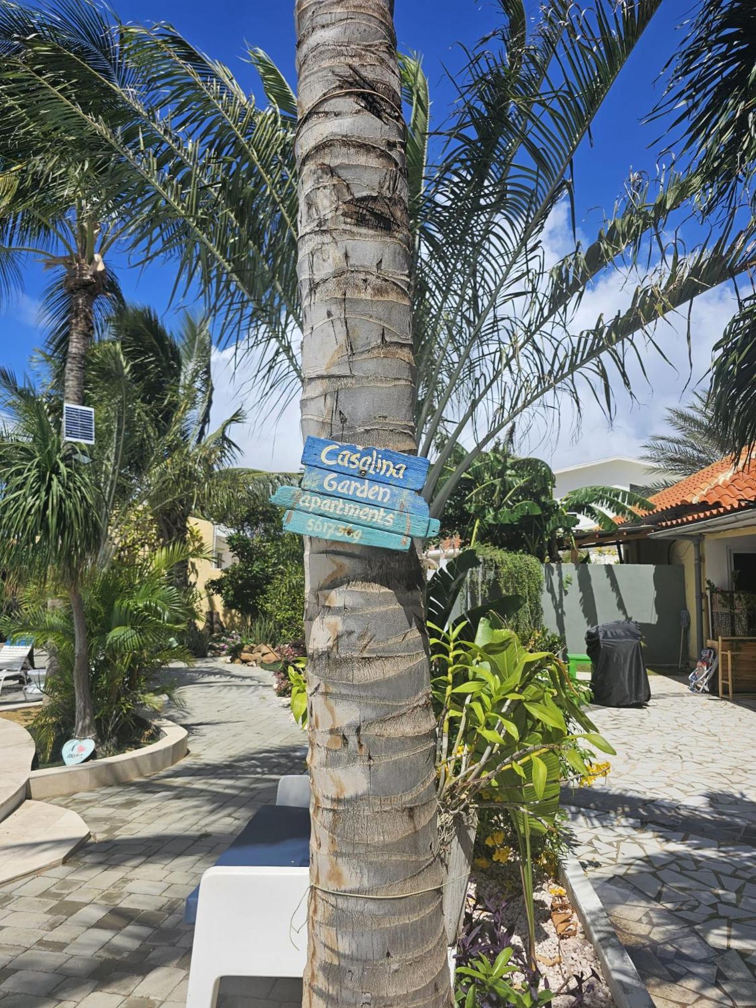 Casalina Garden 2 Blocks To Palm Beach & Kitesurfing School Buitenkant foto
